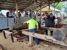Saw Mill demonstration