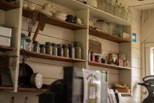 2025 Buildings & Animals