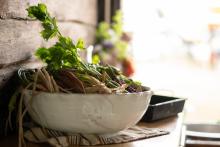 2025 Buildings & Animals