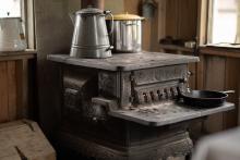 2025 Buildings & Animals